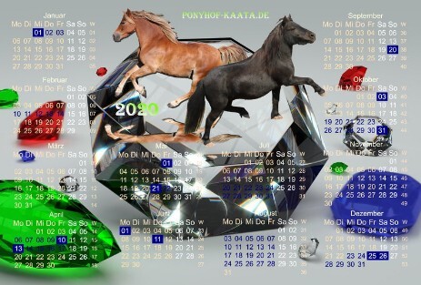 Ponyhof Kalender 2020
