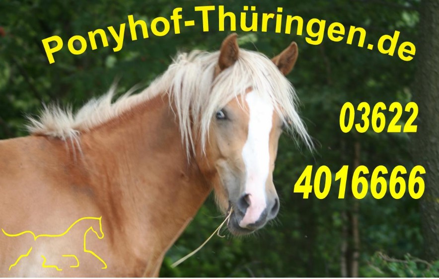 Ponyhof Thüringen